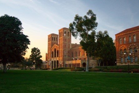 ucla ucla